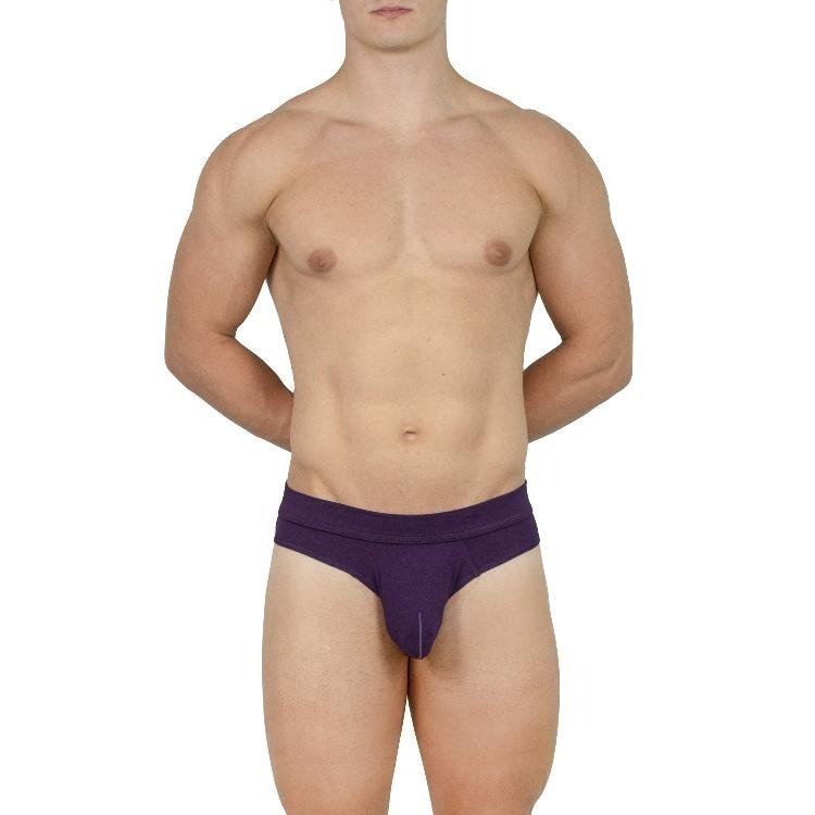 【OIT】Obviously-Elite-Hipster Brief(AnatoMax)-三角內褲(低腰窄邊款)-細節圖3