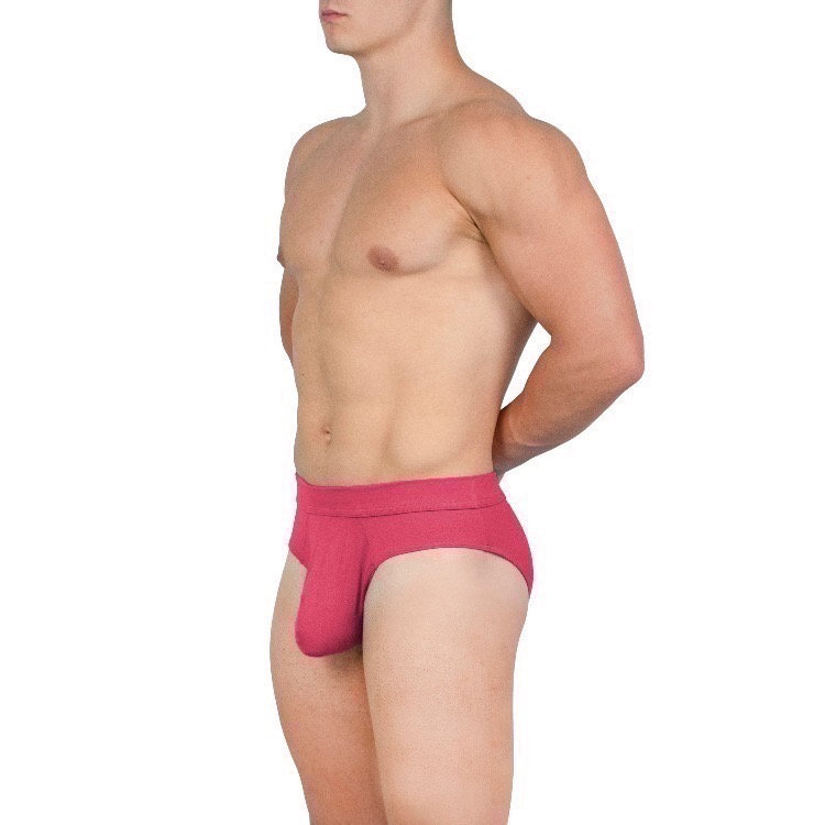 【OIT】Obviously-Elite-Brief(AnatoMax)-三角內褲(標準款)(限定款)-規格圖9