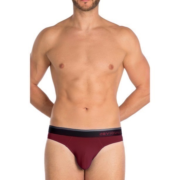 【OIT】Obviously-Primeman-HipsterBrief(AnatoMax)-三角內褲(低腰窄邊)-細節圖7