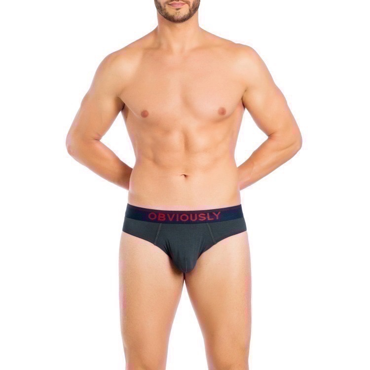 【OIT】Obviously-Freeman-(AnatoFree)-三角內褲-細節圖6