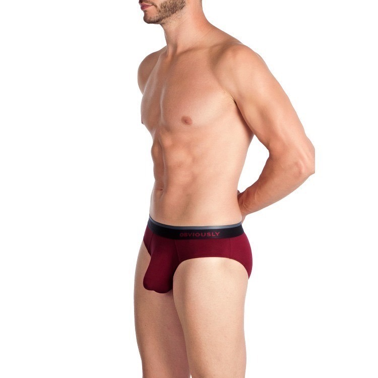 【OIT】Obviously-Primeman-Brief(AnatoMax)-三角內褲(標準款_2)-細節圖3