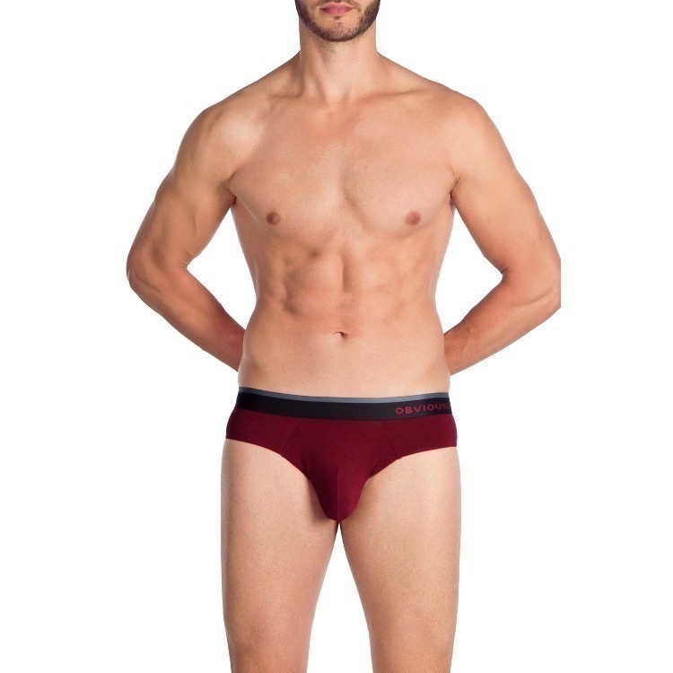 【OIT】Obviously-Primeman-Brief(AnatoMax)-三角內褲(標準款_2)-細節圖2