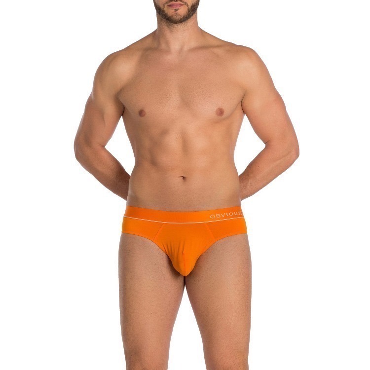 【OIT】Obviously-Primeman-Brief(AnatoMax)-三角內褲(標準款_3)-細節圖2