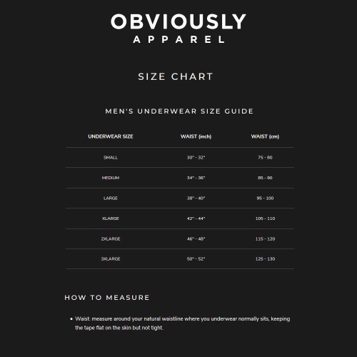 【OIT】Obviously-Primeman-Brief(AnatoMax)-三角內褲(標準款_6)-細節圖10