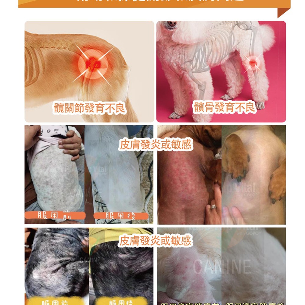【Rose-Hip Vital 澳寵瑰寶】寵物營養保健粉 500gx1 + 150gx2-細節圖8