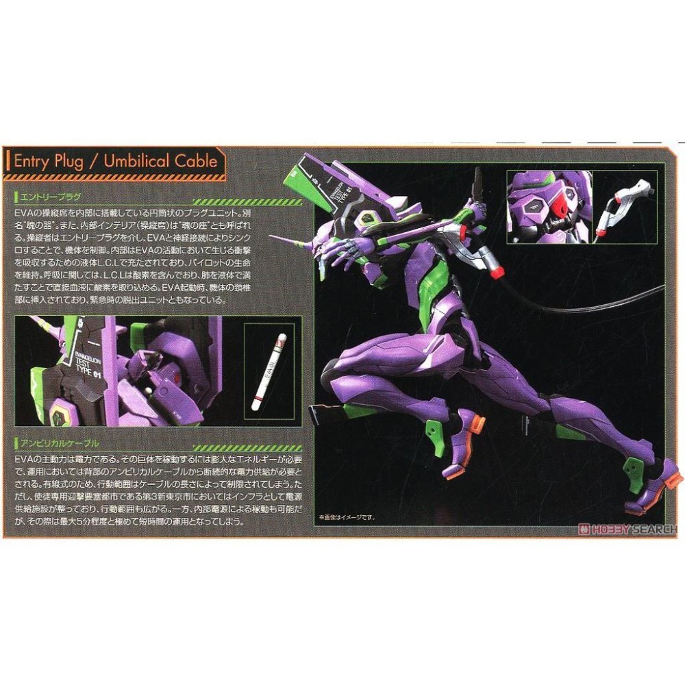 (大鳥叔叔模型)BANDAI [現貨] RG 新世紀福音戰士 EVA初號機-細節圖6