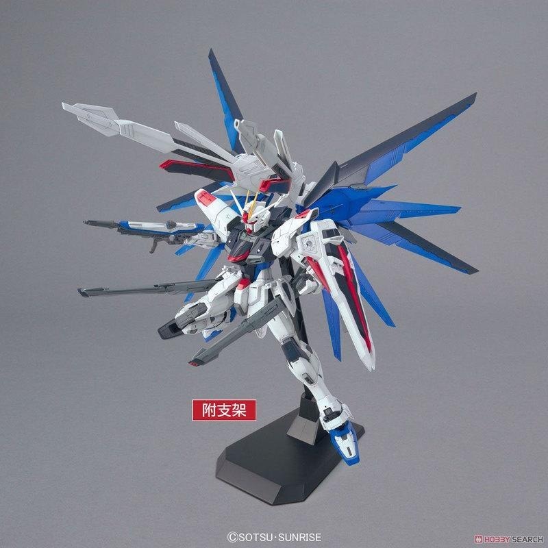 (大鳥叔叔模型)BANDAI 鋼彈 鋼普拉MG 1/100 ZGMF-X10A Freedom 自由鋼彈 Ver.2.0-細節圖7