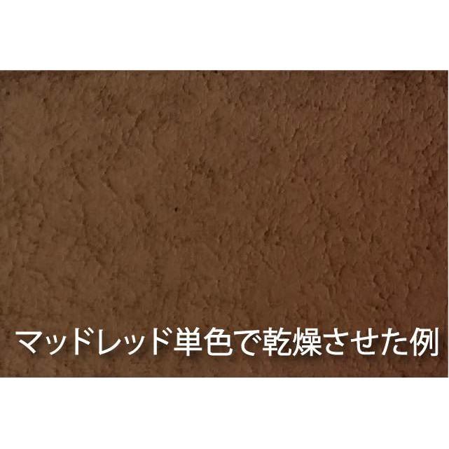 (大鳥叔叔模型)GUNZE郡氏 WP05 擬真 風化 舊化膏 Mud Red 紅土色 40ml-細節圖3