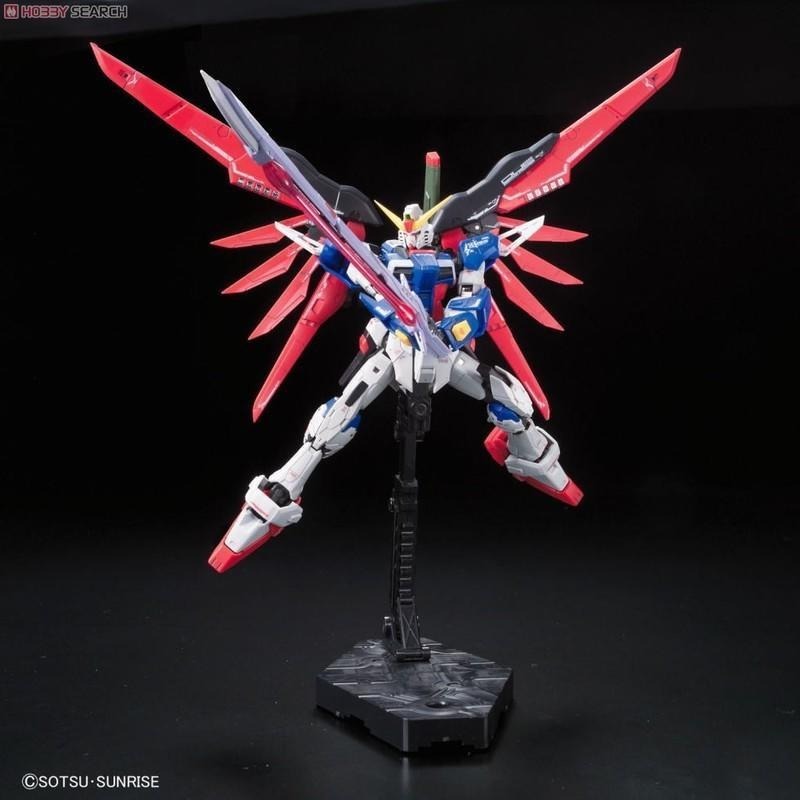 (大鳥叔叔模型)BANDAI 鋼彈1/144 RG11 RG 11 Destiny Gundam命運鋼彈-細節圖2