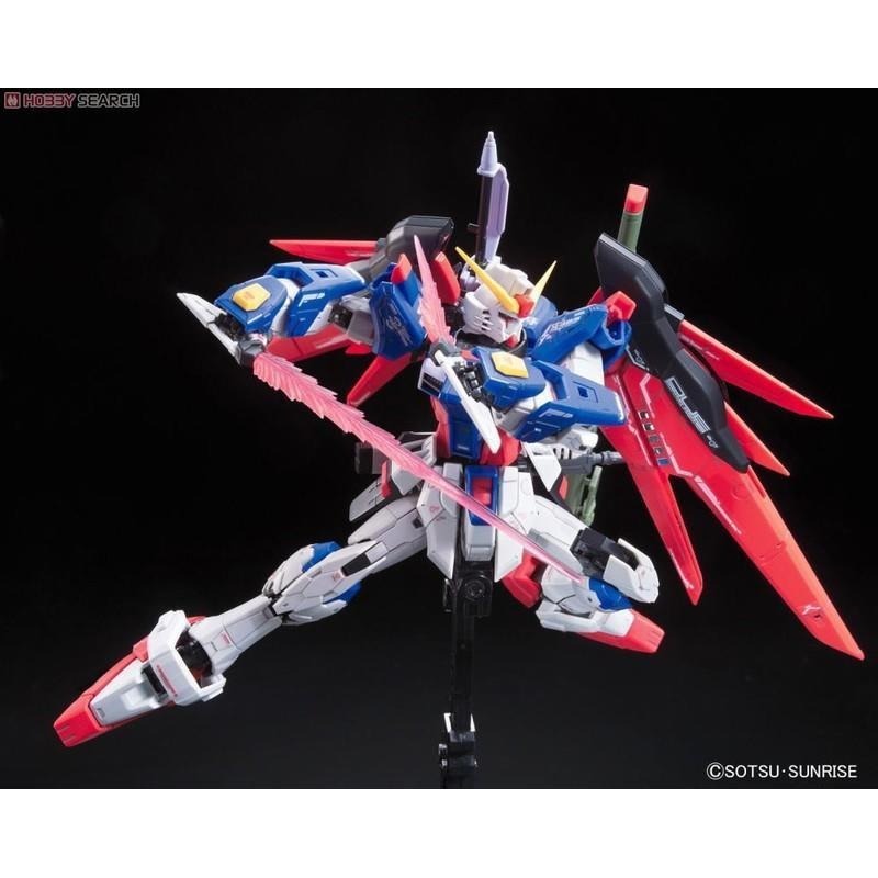 (大鳥叔叔模型)BANDAI 鋼彈1/144 RG11 RG 11 Destiny Gundam命運鋼彈-細節圖3