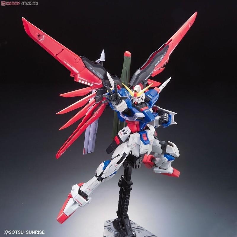 (大鳥叔叔模型)BANDAI 鋼彈1/144 RG11 RG 11 Destiny Gundam命運鋼彈-細節圖5