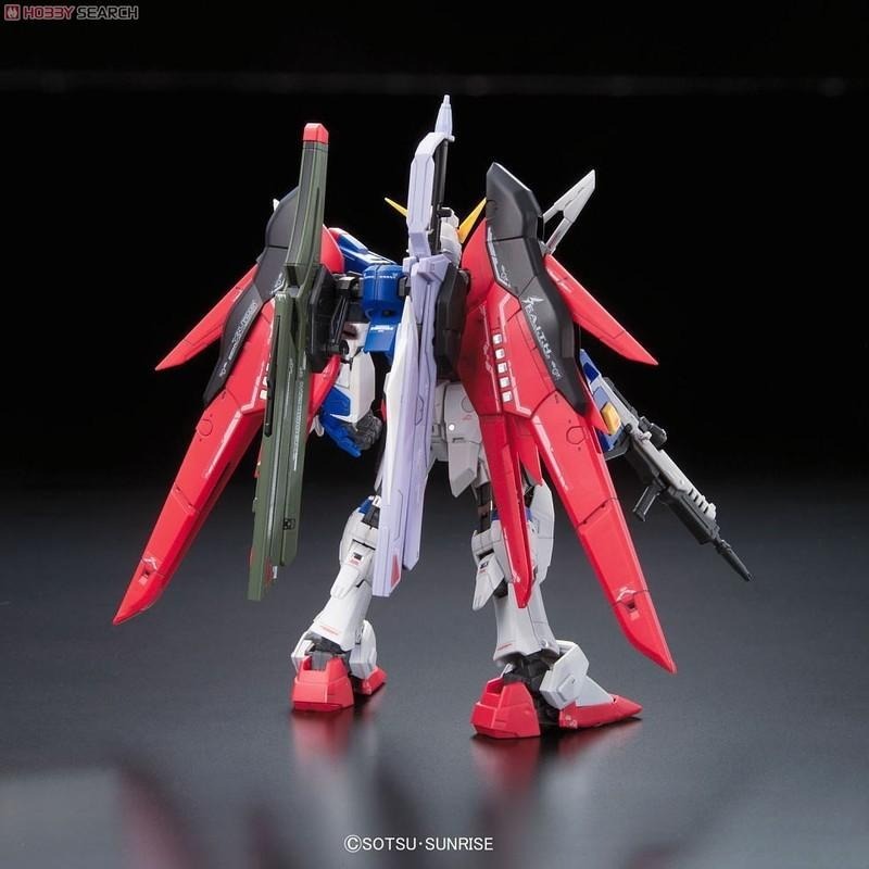 (大鳥叔叔模型)BANDAI 鋼彈1/144 RG11 RG 11 Destiny Gundam命運鋼彈-細節圖9