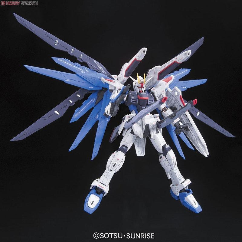 (大鳥叔叔模型)BANDAI 鋼彈 1/144 RG05 RG 05 自由鋼彈 FREEDOM X10A-細節圖5