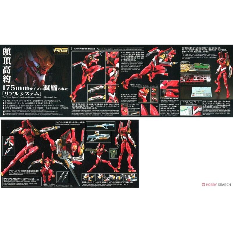 (大鳥叔叔模型)BANDAI RG 新世紀福音戰士 EVA 正規實用型 貳號機 2號機 二號機-細節圖2