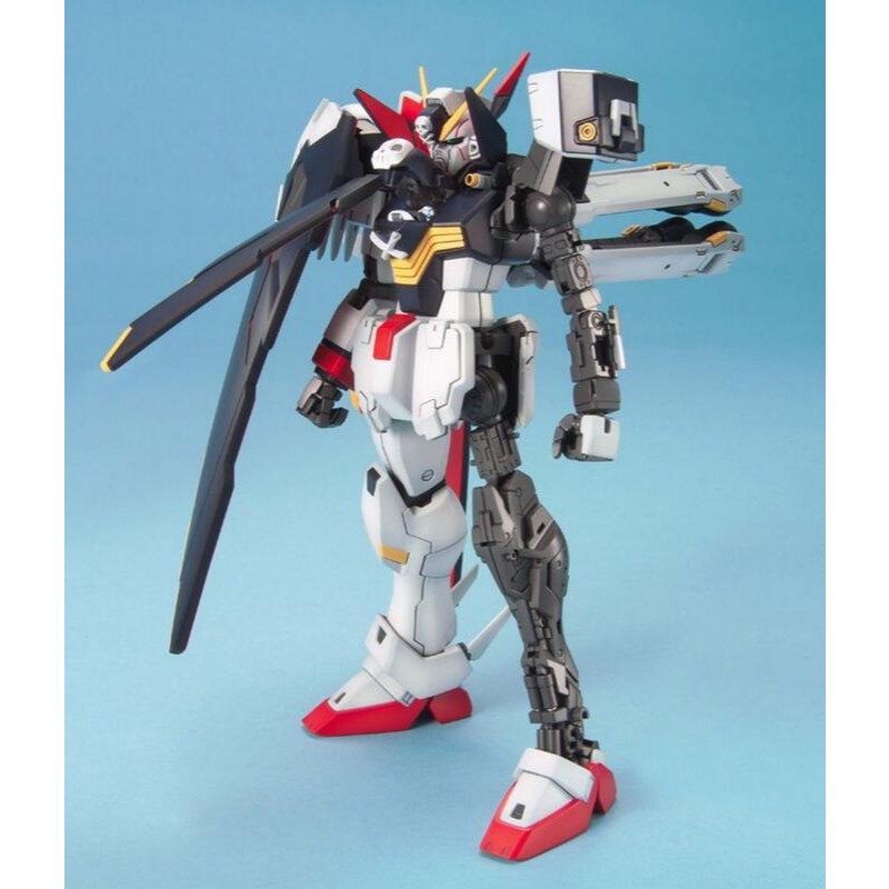 (大鳥叔叔模型)BANDAI 鋼彈 1/100 MG XM-X1 骷髏鋼彈 全覆式披風-細節圖6