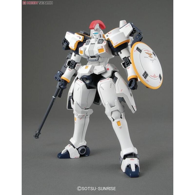 (大鳥叔叔模型)BANDAI 鋼彈1/100 MG OZ-OOMS TALLGEESE 托爾吉斯-細節圖4