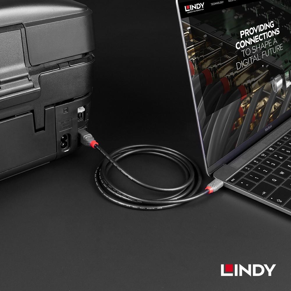 【LINDY】林帝 ANTHRA系列 USB2.0 Type-C/公 to Type-B/公 傳輸線-細節圖4