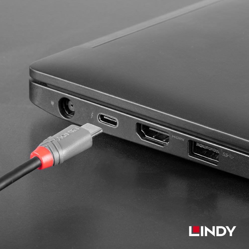 【LINDY】林帝 ANTHRA系列 USB2.0 Type-C/公 to Type-B/公 傳輸線-細節圖5