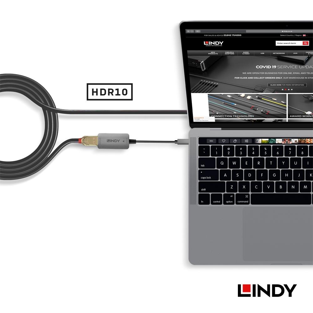 【LINDY】林帝 主動式 USB3.1 TYPE-C公 To DISPLAYPORT母 鋁合金轉接器-細節圖2