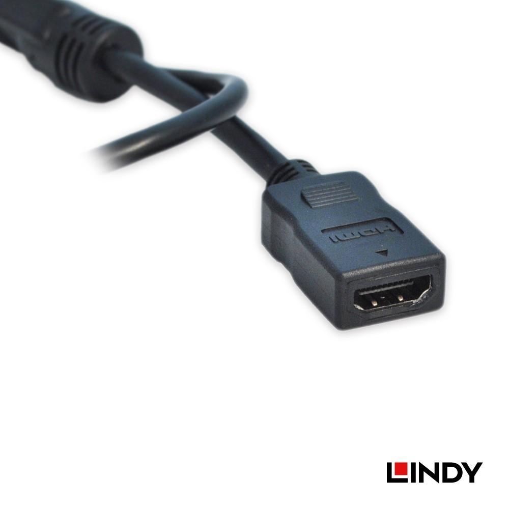 【LINDY】林帝 HDMI供電救星 A公 USB A 公對HDMI A母-細節圖2