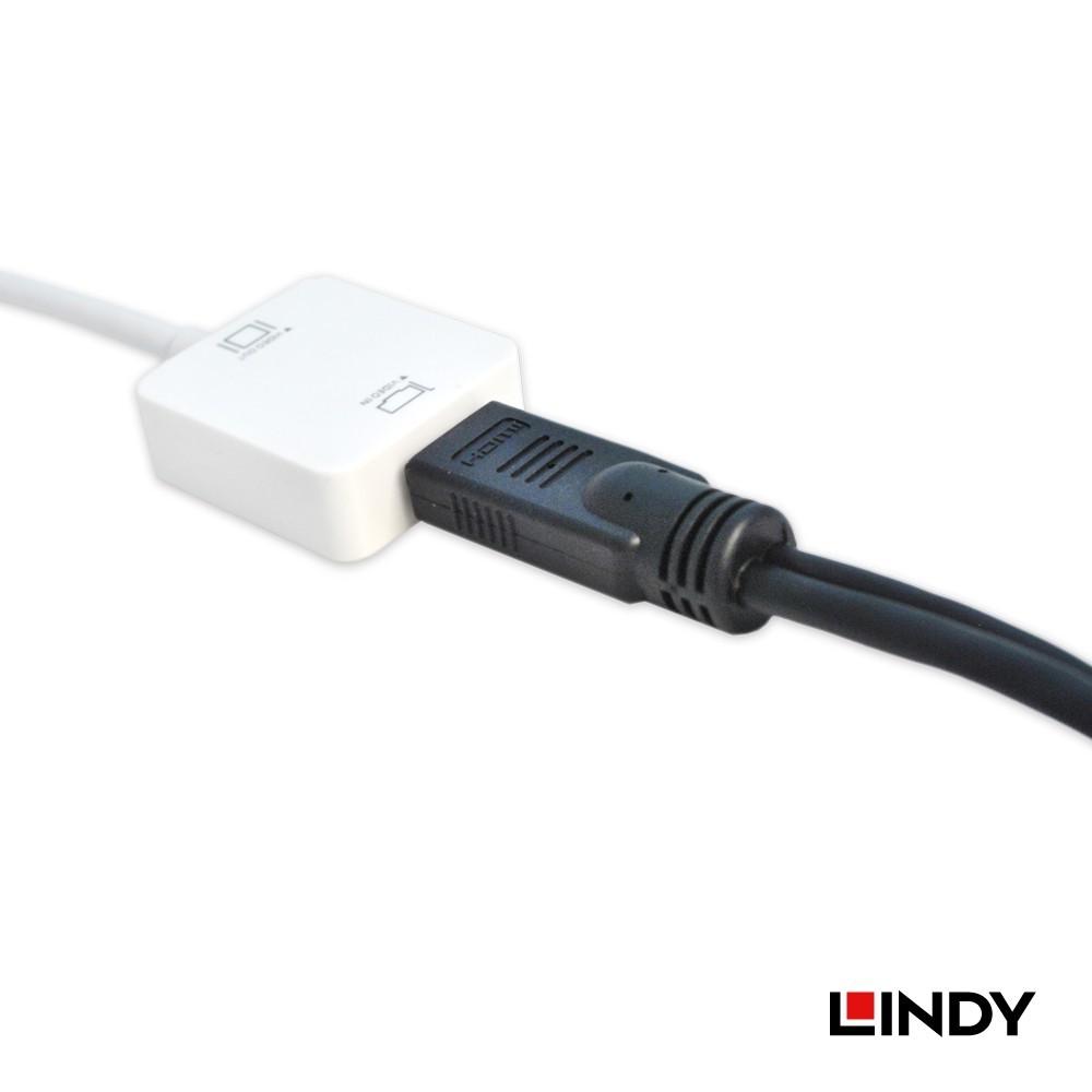 【LINDY】林帝 HDMI供電救星 A公 USB A 公對HDMI A母-細節圖3
