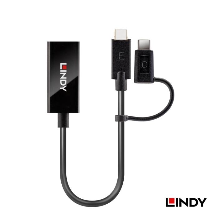 【LINDY】林帝 主動式 USB3.1 TYPE-C to DisplayPort雙向轉接器-細節圖2