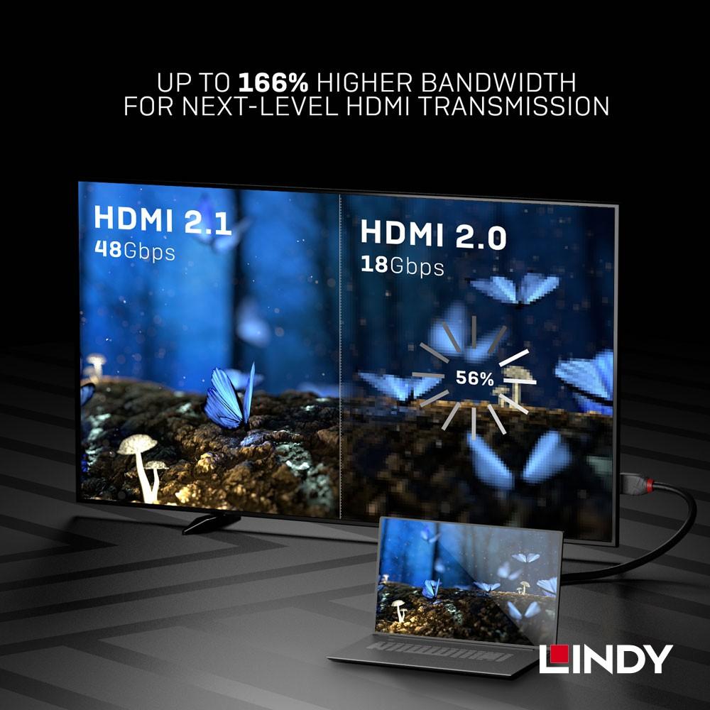 【LINDY】林帝 ANTHRA系列 HDMI 2.1(Type-A) 公 to 公-細節圖3
