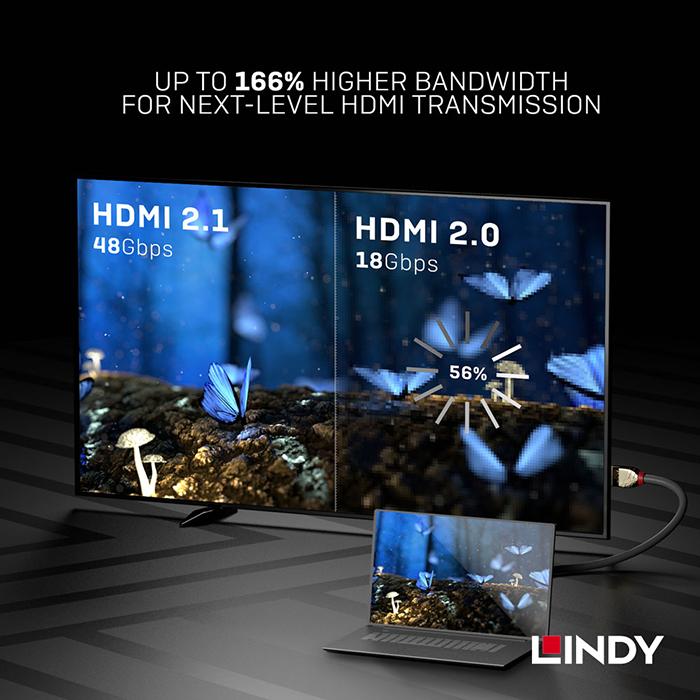 【LINDY】林帝 GOLD系列 HDMI 2.1(Type-A) 公 to 公 傳輸線-細節圖4