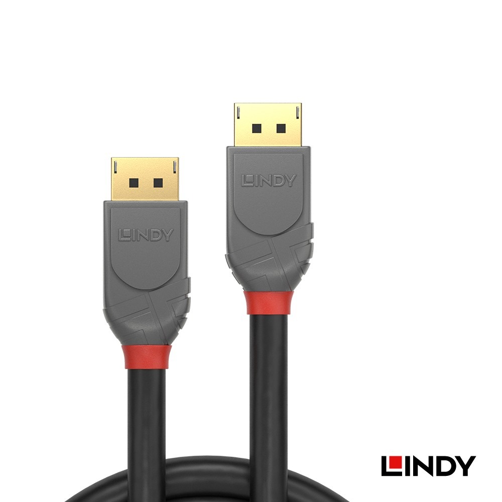 【LINDY】林帝 DisplayPort 傳輸線 1.2版 公 to 公 (GOLD系列 / ANTHRA系列 )-細節圖4