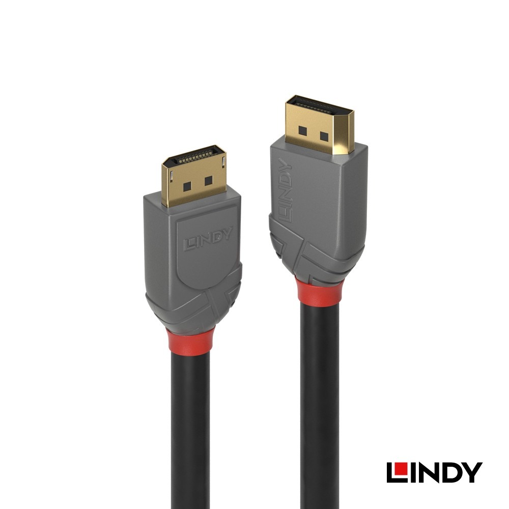 【LINDY】林帝 DisplayPort 傳輸線 1.2版 公 to 公 (GOLD系列 / ANTHRA系列 )-細節圖5