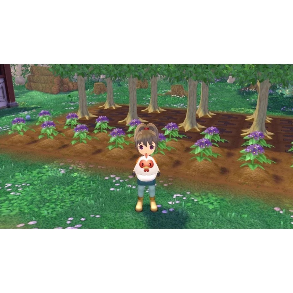 附初回特典DLC＋紙膠帶【NS原版片】☆ Switch 牧場物語 Welcome 美麗人生☆ 中文版全新品【台中星光】-細節圖7