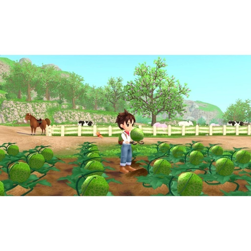 附初回特典DLC＋紙膠帶【NS原版片】☆ Switch 牧場物語 Welcome 美麗人生☆ 中文版全新品【台中星光】-細節圖9
