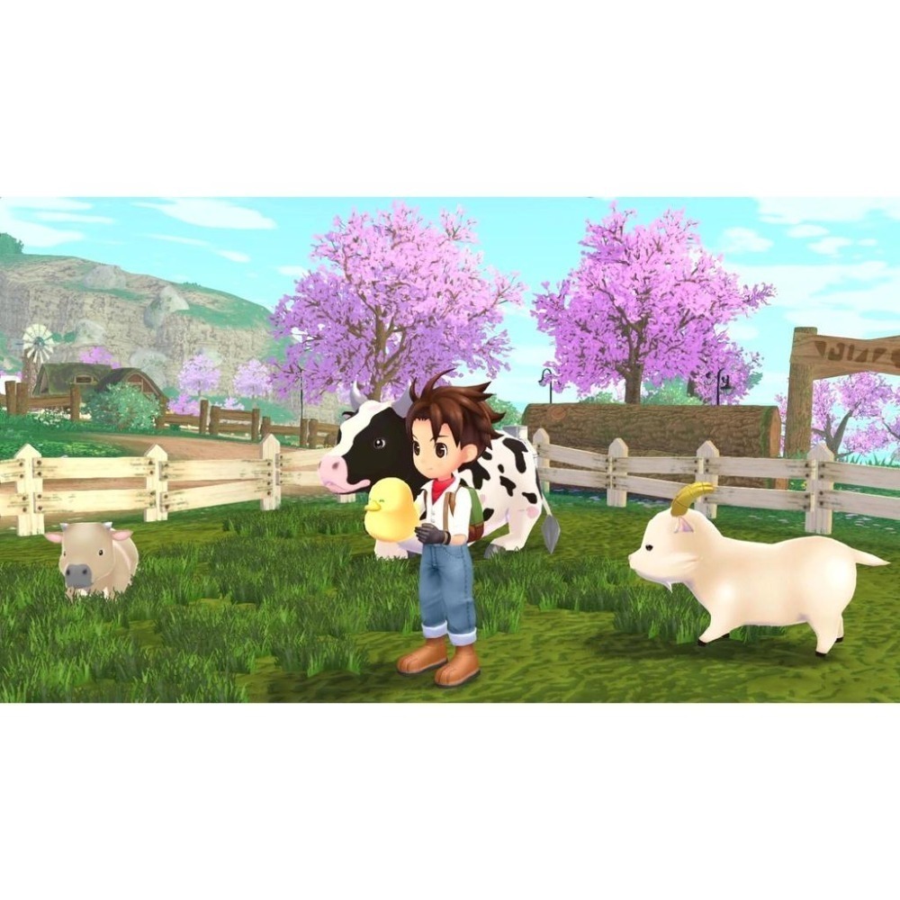 附初回特典DLC＋紙膠帶【NS原版片】☆ Switch 牧場物語 Welcome 美麗人生☆ 中文版全新品【台中星光】-細節圖10