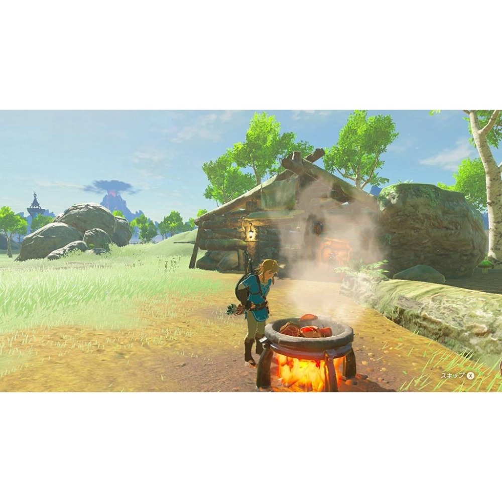NS Switch 薩爾達傳說 曠野之息＋原廠 Pro 控制器 手把 【荒野之息必買組】台灣公司貨全新品【台中星光電玩】-細節圖9