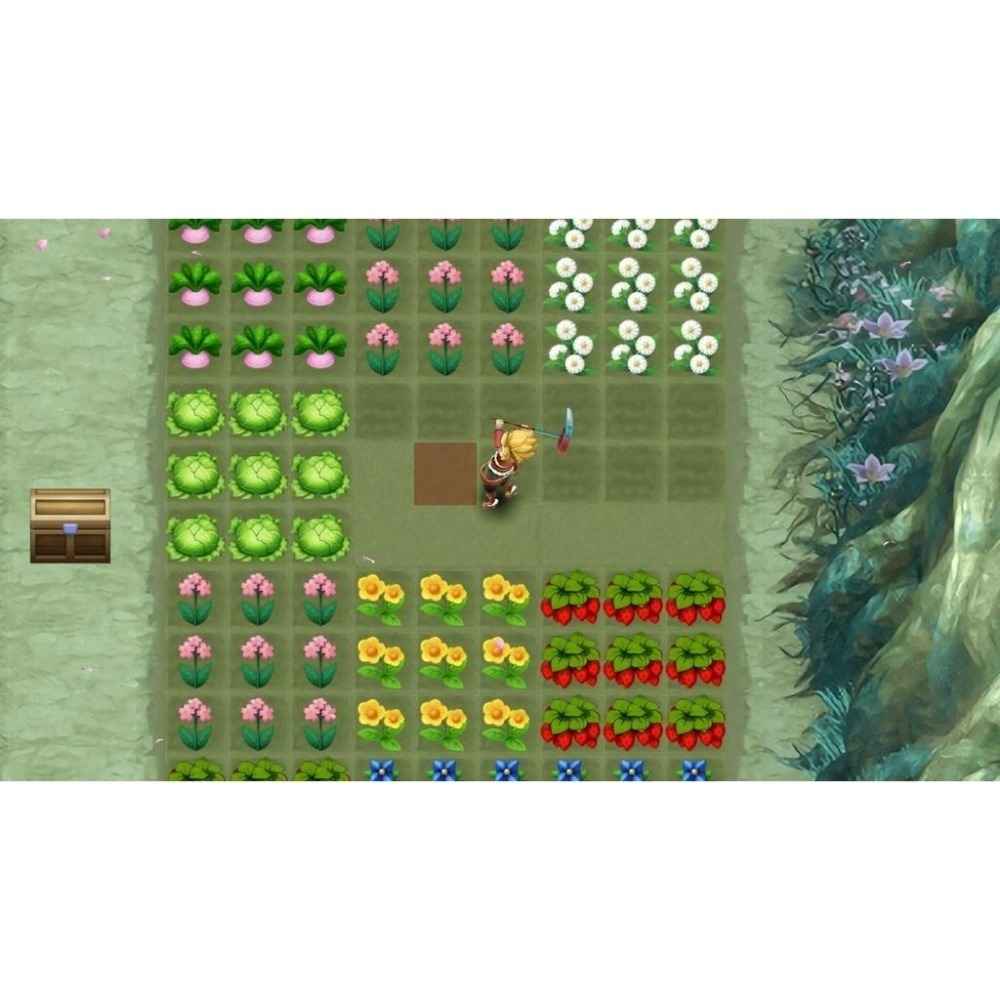 【NS原版片】 Switch 符文工廠 3 豪華版 【含初回特典DLC＋擦拭布】中文版全新品【台中星光電玩】-細節圖10