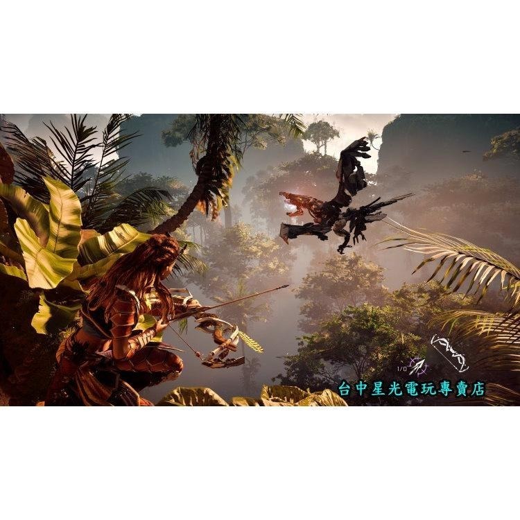 【PS4原版片】 地平線 期待黎明 完全版 Best中文版【中古二手商品】台中星光電玩-細節圖8