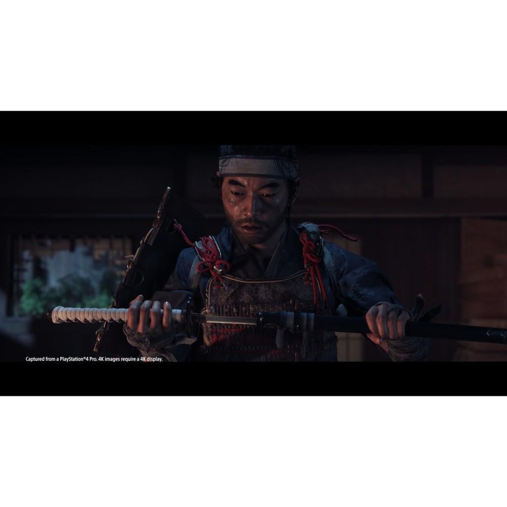 現貨【PS5原版片】 ☆ 對馬戰鬼 導演版 ☆ 中文版全新品【台中星光電玩】-細節圖6