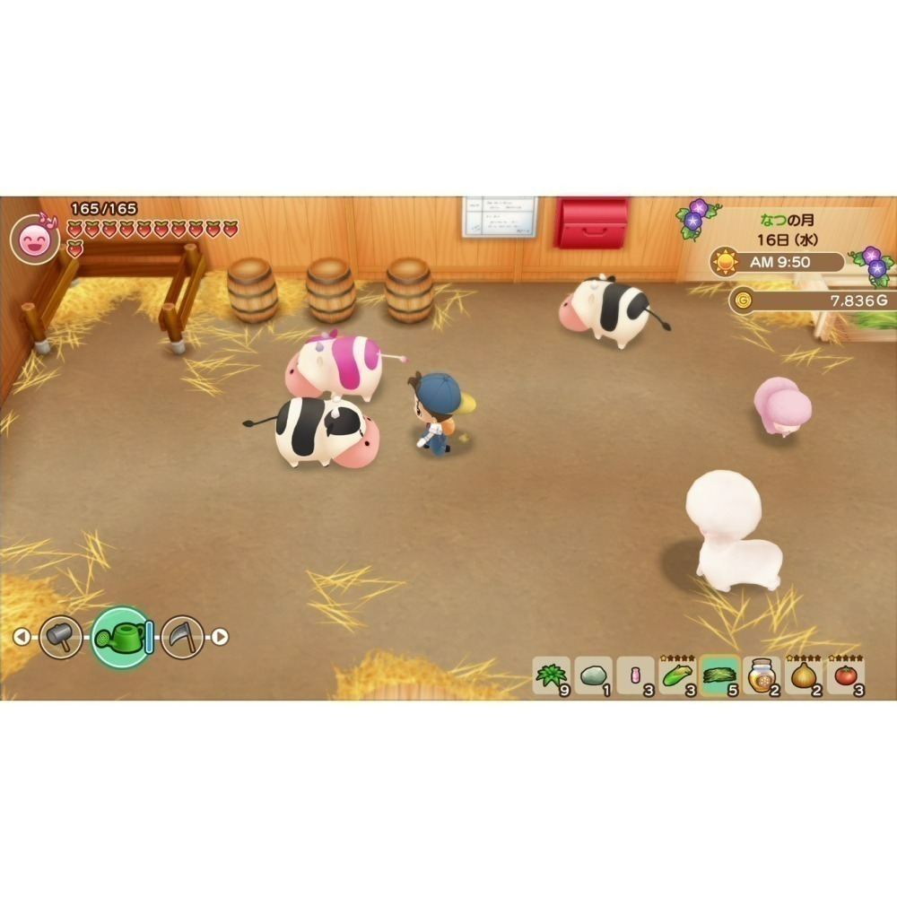 現貨【NS原版片】☆ Switch 牧場物語 重聚礦石鎮 ☆中文版全新品【台中星光電玩】-細節圖6