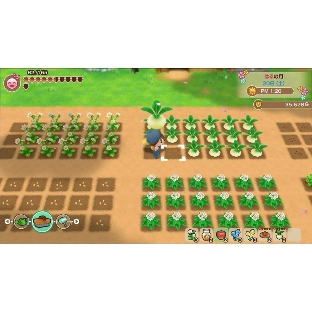 現貨【NS原版片】☆ Switch 牧場物語 重聚礦石鎮 ☆中文版全新品【台中星光電玩】-細節圖7