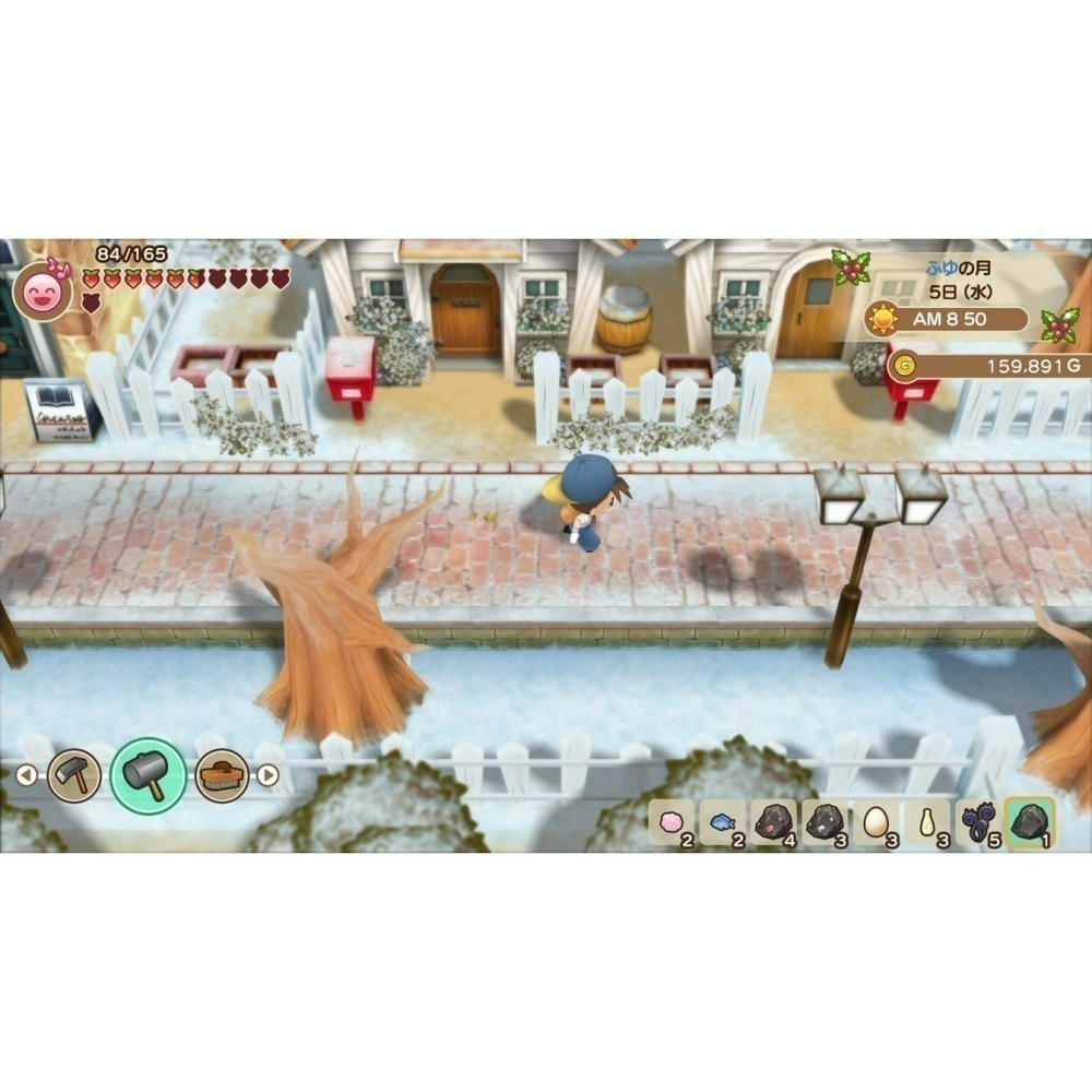 現貨【NS原版片】☆ Switch 牧場物語 重聚礦石鎮 ☆中文版全新品【台中星光電玩】-細節圖9