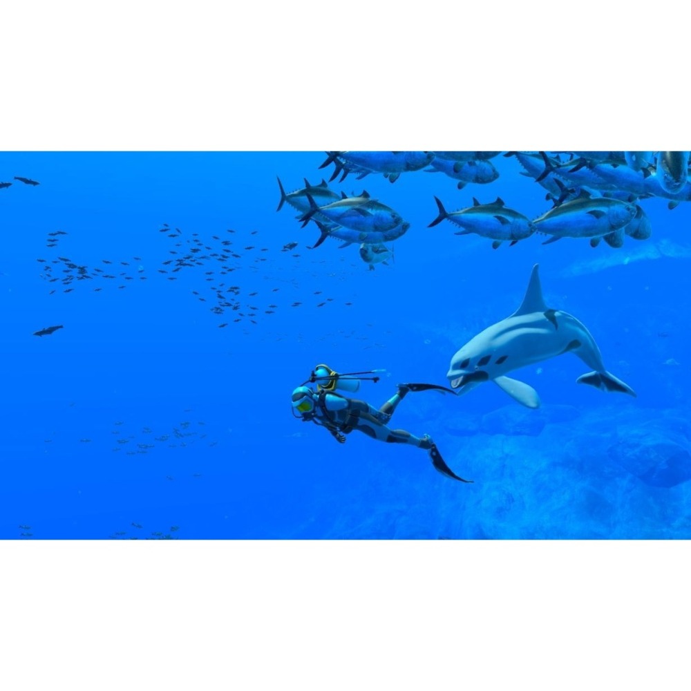 【NS原版片】☆ Switch 永恆蔚藍 流光 Forever Blue 潛水☆中文版全新品【台中星光】-細節圖6