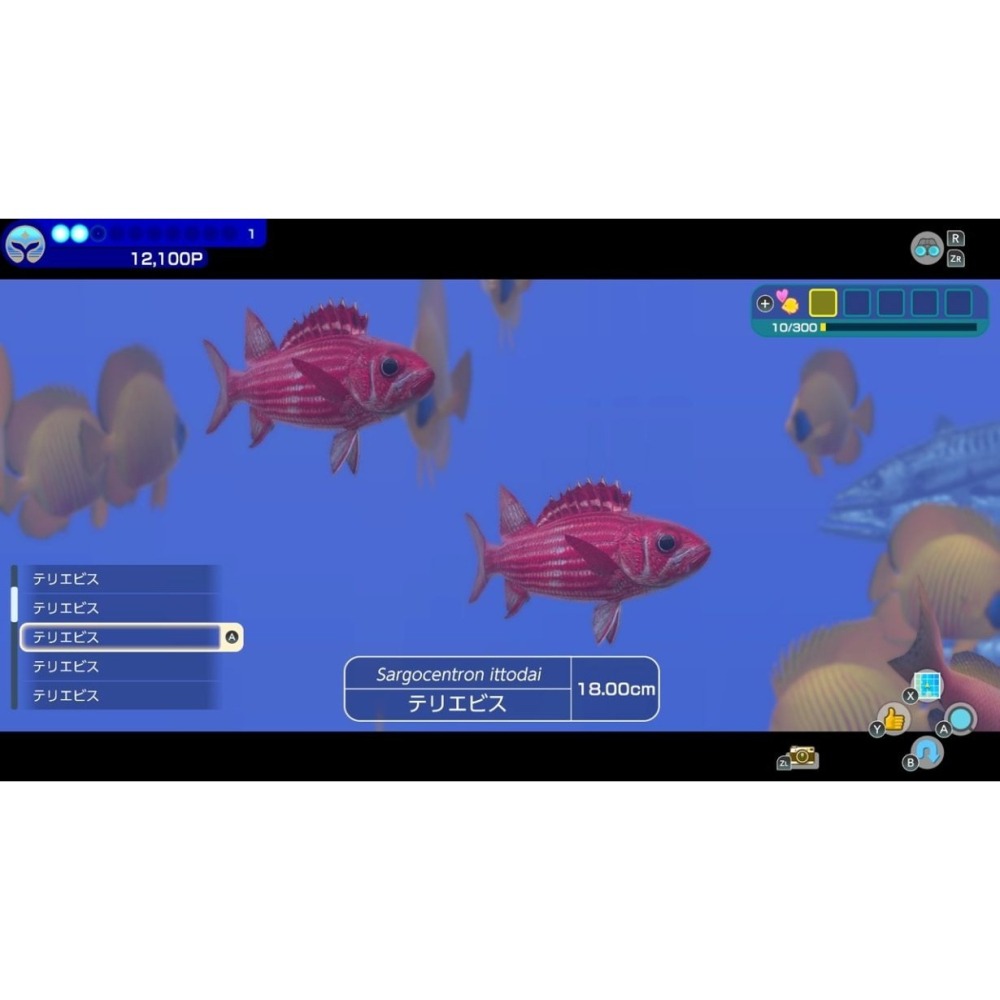 【NS原版片】☆ Switch 永恆蔚藍 流光 Forever Blue 潛水☆中文版全新品【台中星光】-細節圖7