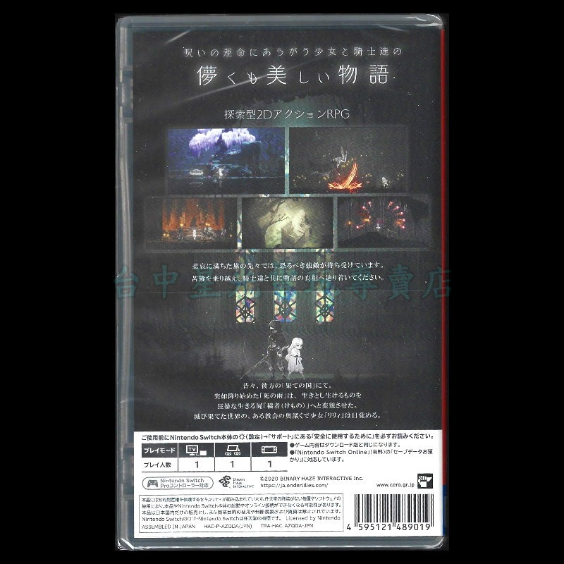 【NS原版片】☆ Switch 終結者莉莉：騎士救贖 ☆ 中文版全新品【台中星光電玩】YG-細節圖4