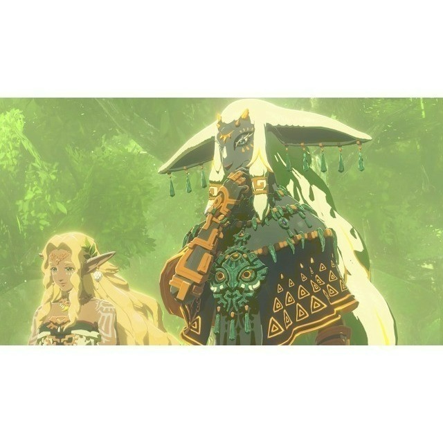 現貨【NS2原版片】☆ Switch2 ZELDA 薩爾達無雙 封印戰記 ☆中文版全新品【台中星光】-細節圖6