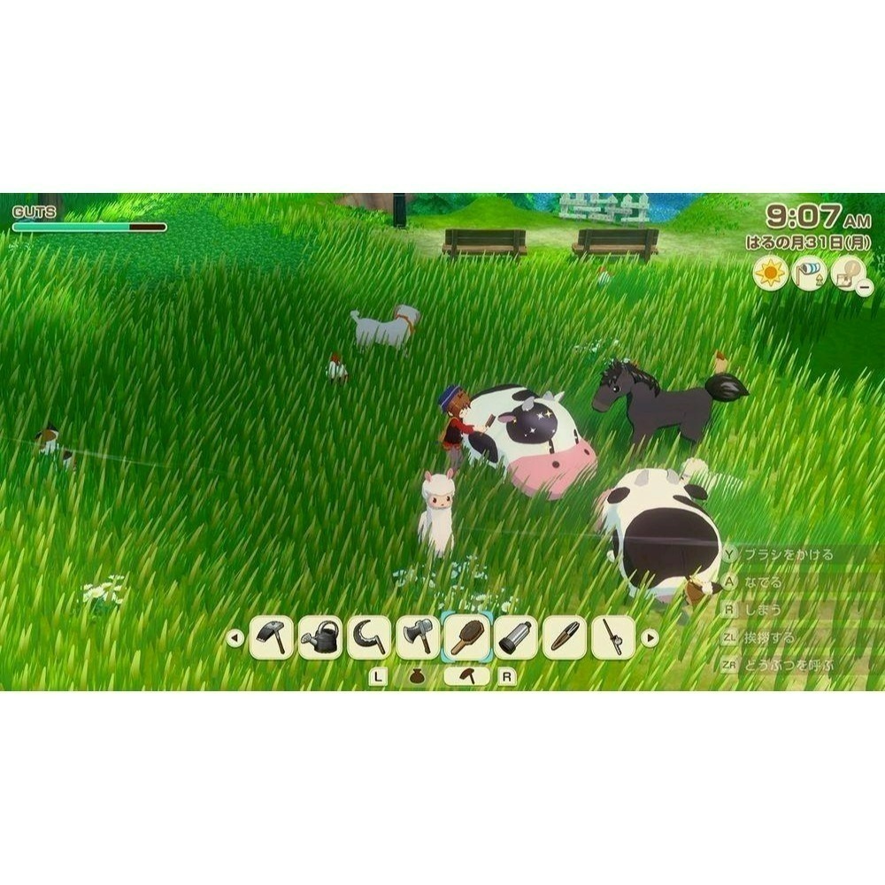現貨 含初回特典【NS原版片】☆ Switch 牧場物語 風之繁華市集 ☆中文版全新品【台中星光電玩】-細節圖7