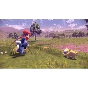 現貨【NS原版片】☆ Switch 寶可夢傳說 阿爾宙斯 ☆中文版全新品【台中星光電玩】YG-細節圖6