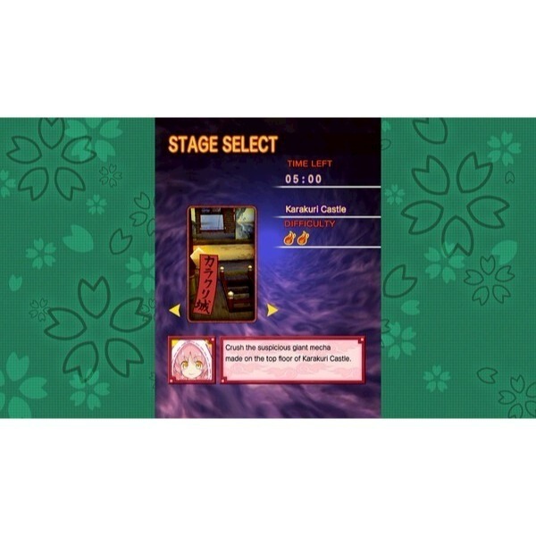 【NS原版片】☆Switch 被詛咒的小護 ReCurse 彈幕射擊 機台移植☆中文版全新品【星光電玩】-細節圖9