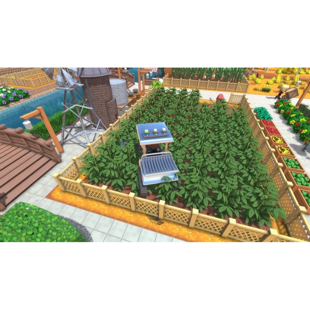 預購 11/27【NS原版片】☆ Switch 金墾小鎮 Dinkum ☆ 中文版全新品【台中星光】-細節圖6