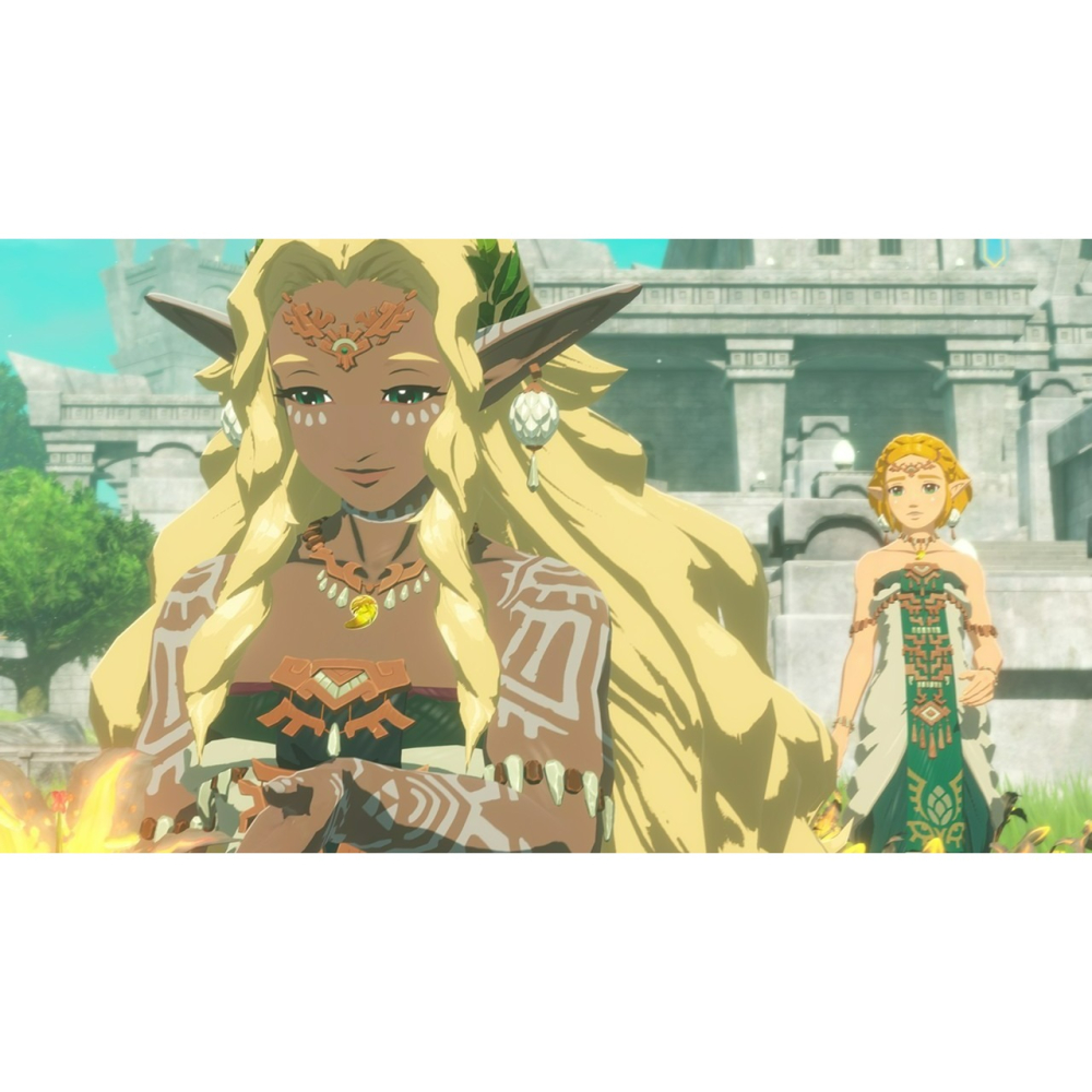 限定版 現貨【NS2原版片】☆ Switch2 ZELDA 薩爾達無雙 封印戰記 豪華版 ☆中文版全新品【台中星光】-細節圖5