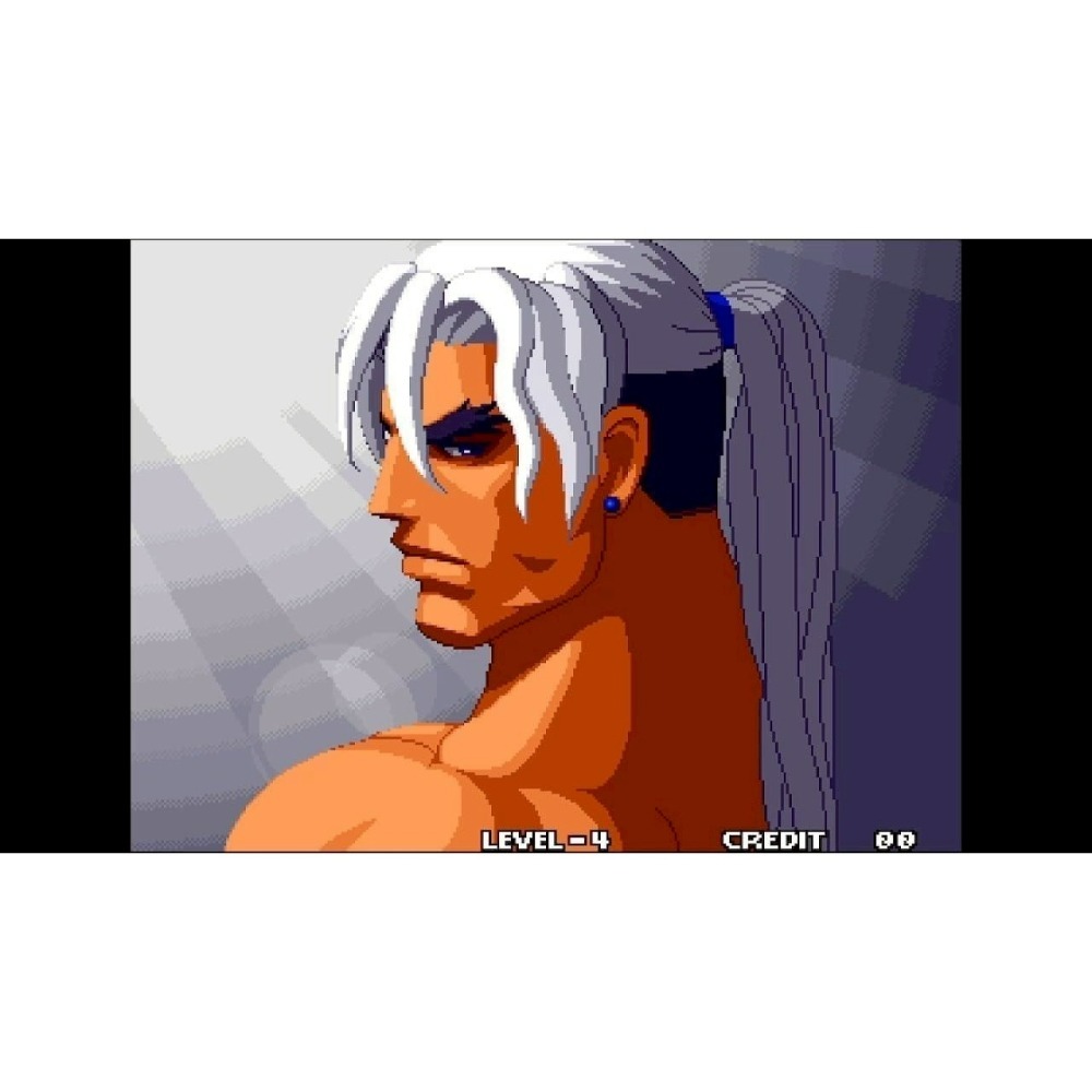 含特典【NS原版片】☆NS ACA Neogeo 精選集 Vol.10 ☆中文版全新品【星光】-細節圖5